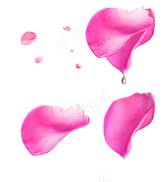 粉色花瓣漂浮