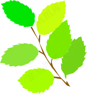 简单的弹簧,新叶 简单的弹簧,新叶