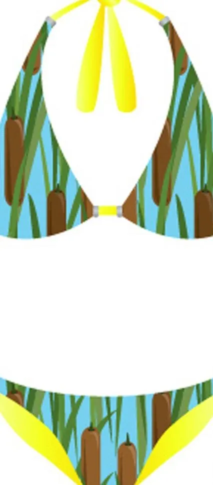 内衣图片eps,ai矢量模版下载