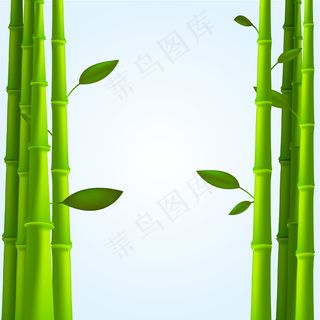 绿色竹子背景图