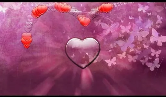 婚礼视频素材图片