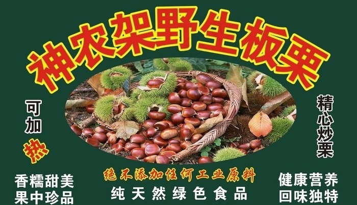 野生板栗图片cdr矢量模版下载