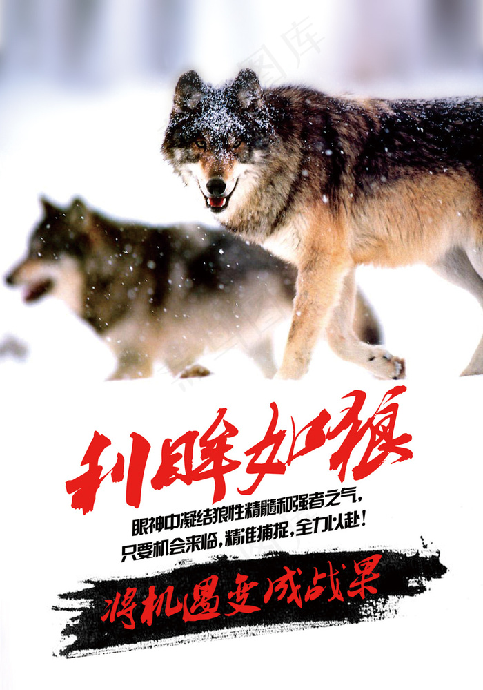 狼性团队宣传海报15