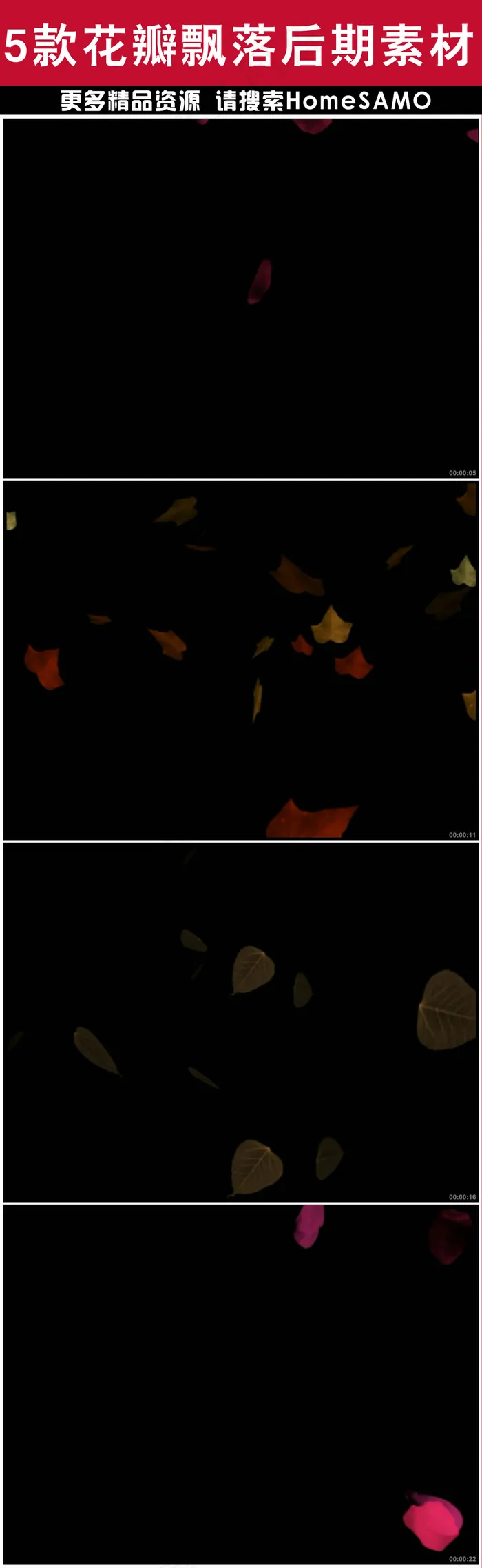 5款精美花瓣飘落后期视频素材