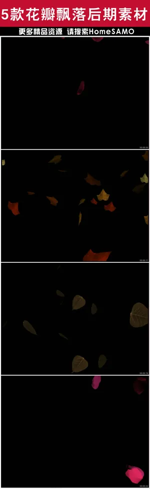 5款精美花瓣飘落后期视频素材