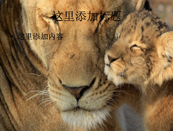 全球摄影大赛自然类（2_10）