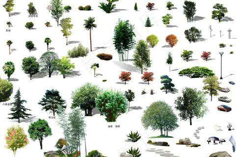 多种植物图片