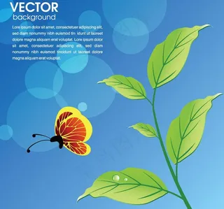 绿叶水珠水滴蝴蝶图片