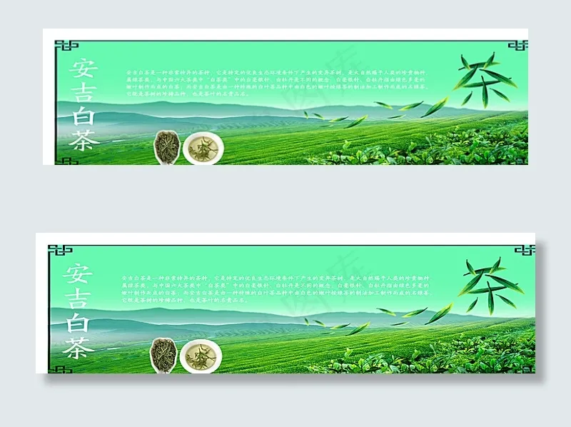 安吉白茶图片(6693X2028(DPI:100))psd模版下载