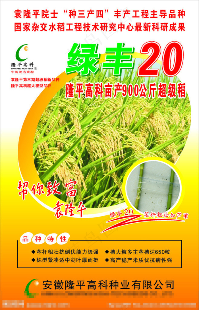 水稻种子包装设计cdr矢量模版下载