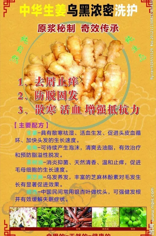 中华生姜洗护图片cdr矢量模版下载