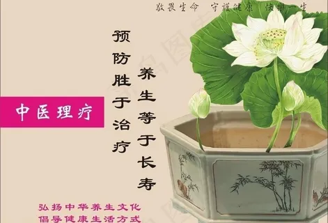 广告设计 中医 荷花图片