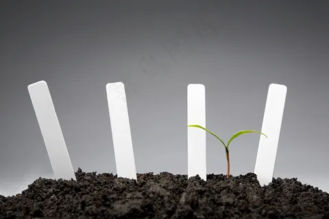 土壤里的小草和四个白色标牌图片