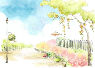 开满鲜花的小路