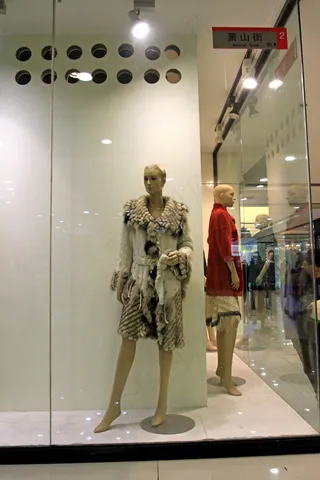 橱窗图片