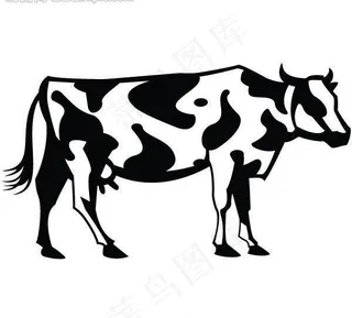 奶牛图片