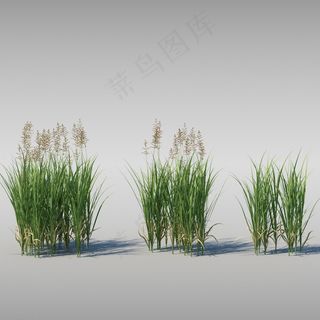 草模型图片