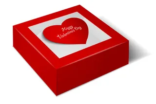 矢量图饰品盒包装设计矢量图