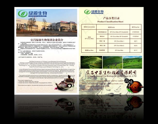 茶叶生物科技单页(1000X1000)cdr矢量模版下载