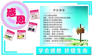 学会感恩珍惜生命公益文化宣传教育展...