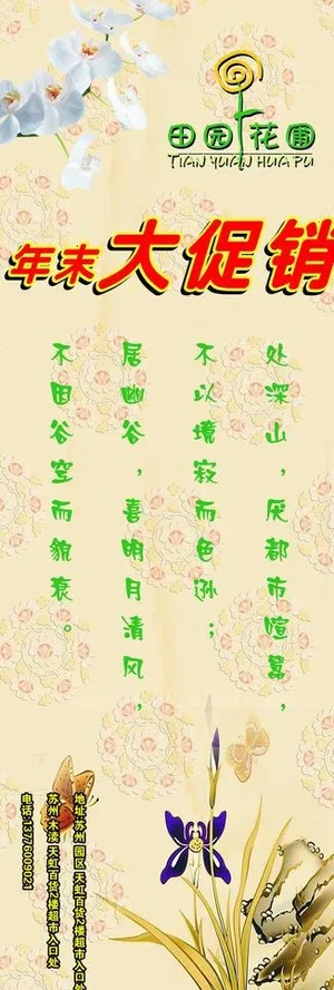 涨价 促销 蝴蝶兰图片 涨价 促销 蝴蝶兰图片
