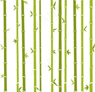 竹子图片