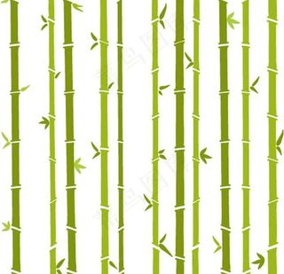 竹子图片