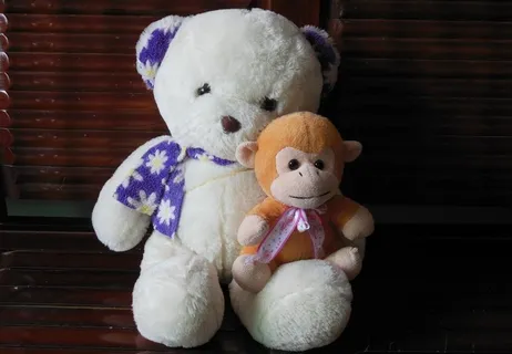 亲密的熊与猴图片