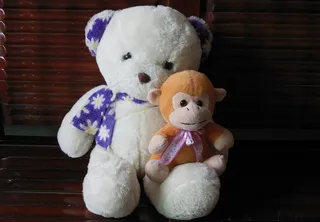 亲密的熊与猴图片