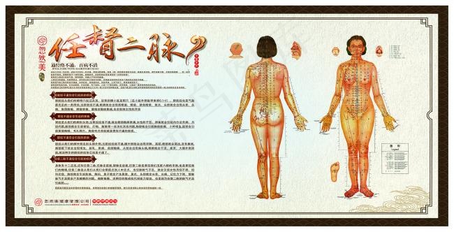 任督二脉经络图