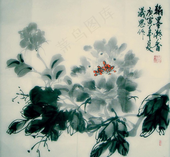 国画牡丹图片