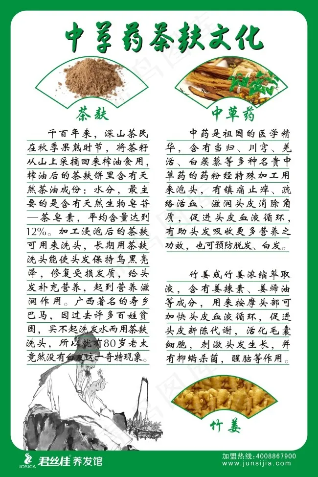绿边中草药茶麸文化君丝佳促销海报cdr矢量模版下载