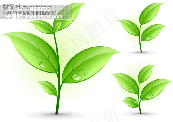 春天植物矢量
