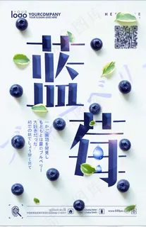 蓝莓海报