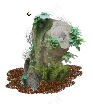 树木枯萎枯树素材分层免扣大图