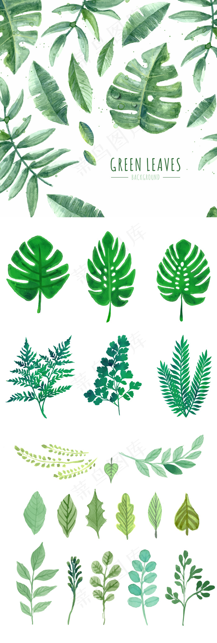 2017森系水彩绿叶插画矢量素材