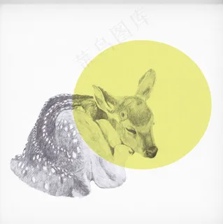 卡通动物图案插画