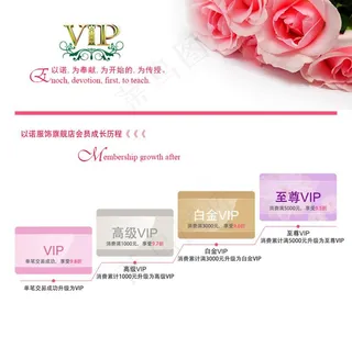 VIP会员制度