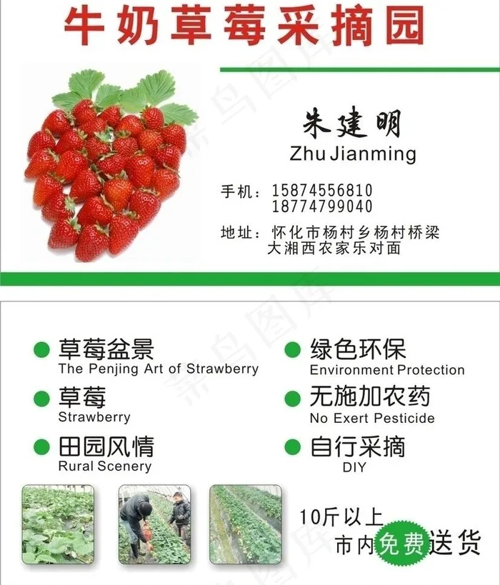 牛奶草莓采摘园图片