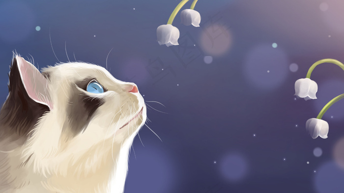 猫咪的侧颜和铃兰花(2880*1620px 300 dpi )psd模版下载
