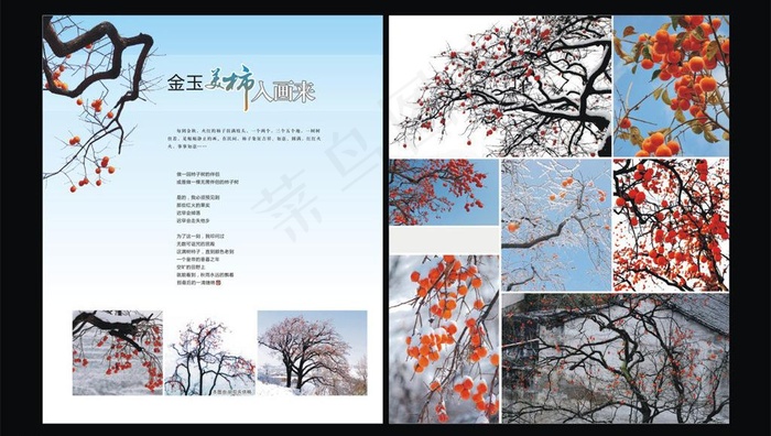 生活人文杂志内页图片cdr矢量模版下载