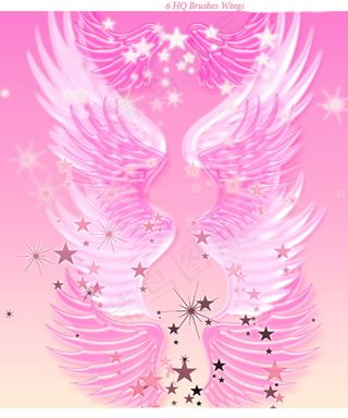 高清晰漂亮翅膀PS笔刷