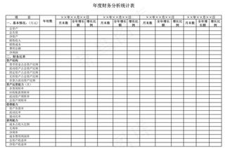 公司年度财务分析统计表