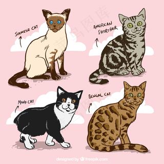 可爱卡通矢量猫