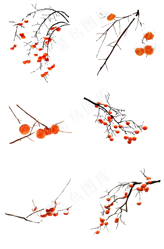 手绘插画雪中柿子,免抠元素