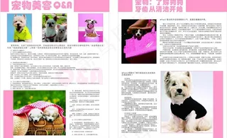宠物杂志内页图片