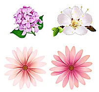 矢量花朵 梅花图片ai矢量模版下载