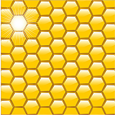 蜂巢