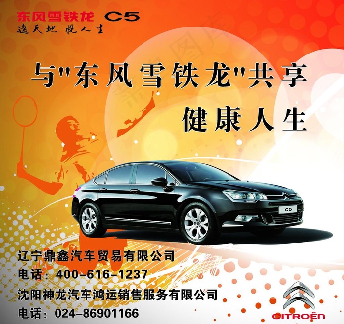 东风雪铁龙 kt板图片