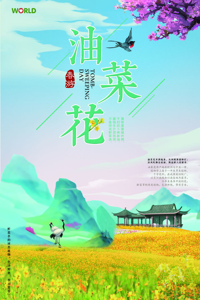 清新创意油菜花旅游宣传海报(3543X5315(DPI:150))psd模版下载